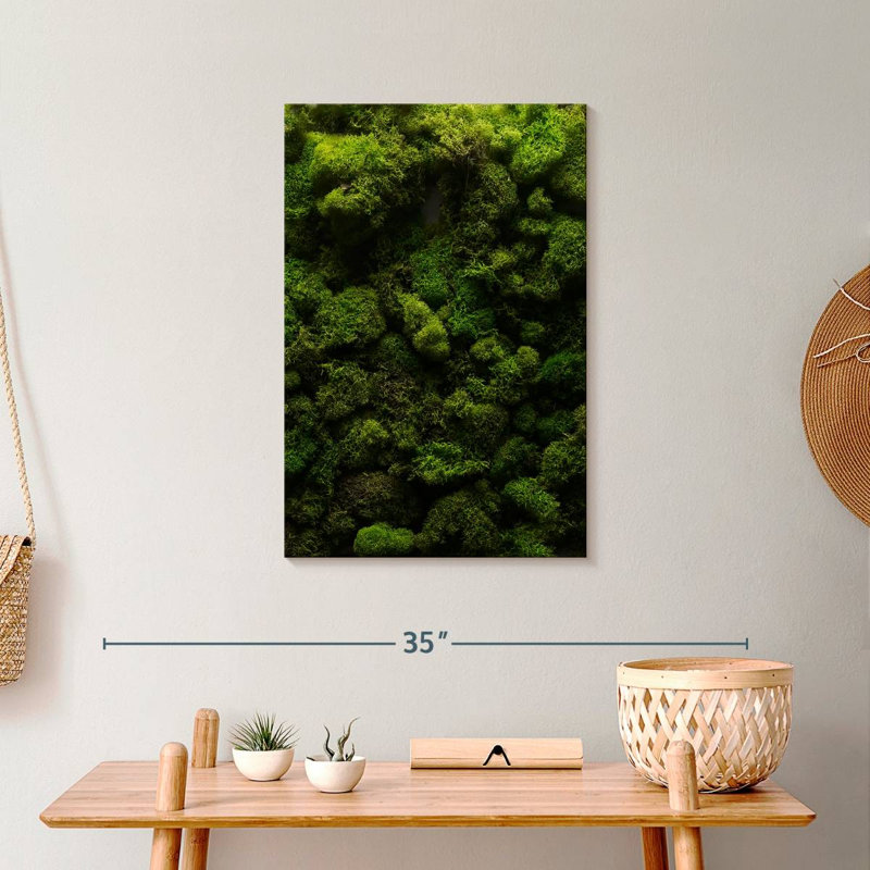 " Thick Moss " Print, 24" H x 16" W x 1.25" D