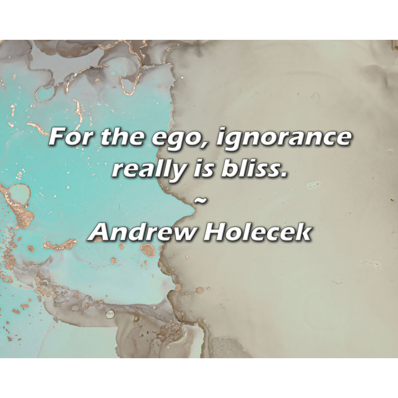 Andrew Holecek Citation: Pour l'ego, l'ignorance est vraiment un bonheur., H 26 po x l 32 po