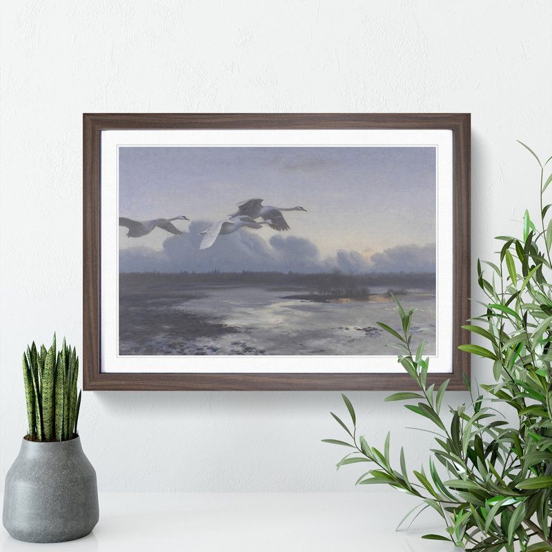 Swans in Flight Vol.1 by Bruno Liljefors - Picture Frame Painting, 36cm H x 48cm W x 2cm D, Walnut Framed