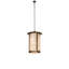 8 - Light Pendant