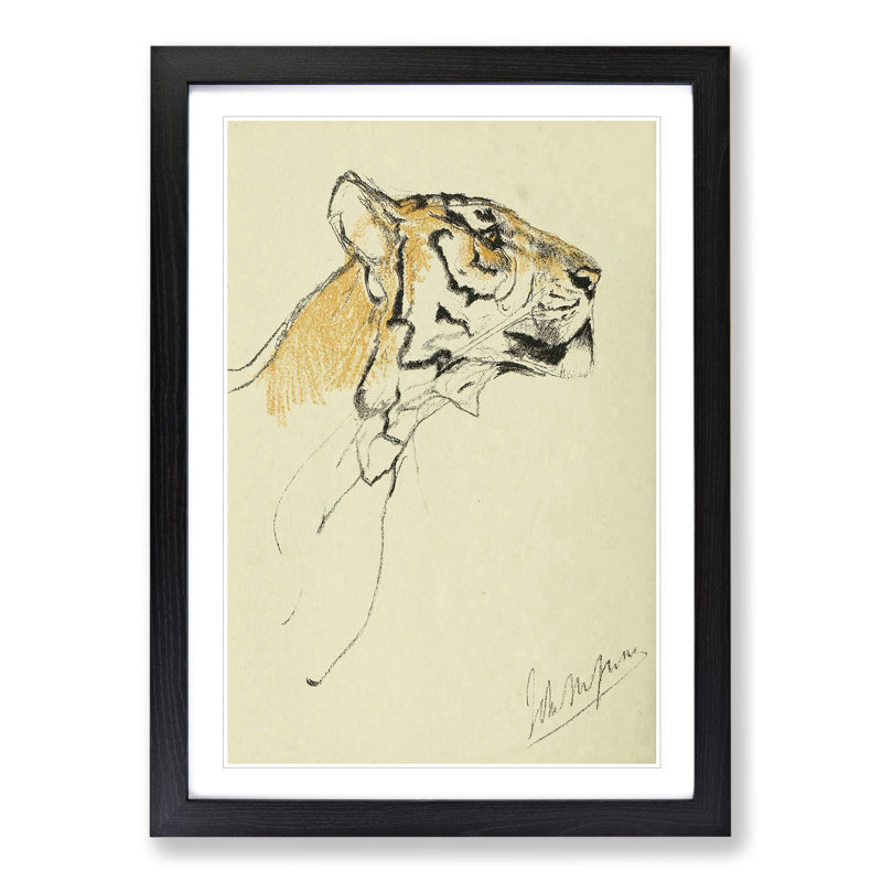 Study of a Tiger Vol.2 by John Macallan Swan - Framed Print, Black Framed, 48cm H x 36cm W x 2cm D
