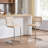 Crumley Natural Rattan 24.3" Counter Stool with Cane Rattan Back and Metal Frame-957660059-957660052