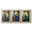 ANIMALS Series IC - Impression sur mesure encadrée de qualité supérieure - 3 pièces-474465741