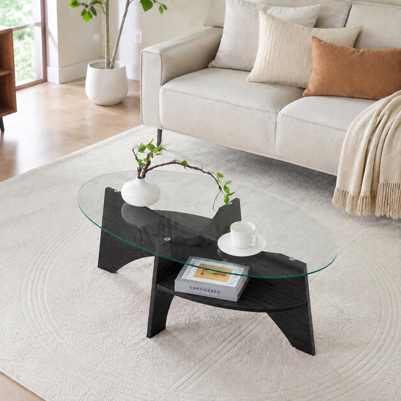 Table basse ronde moderne en verre trempé avec base en éventail et tablette de rangement ouverte, Transparent/noir