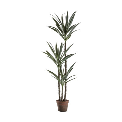 150cm Faux Yucca Tree in Pot