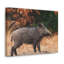 No Frame Print on Canvas-72927324