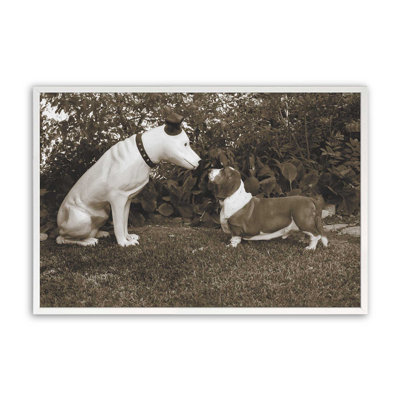 «Want To Play» par Jim Dratfield, reproduction d'art