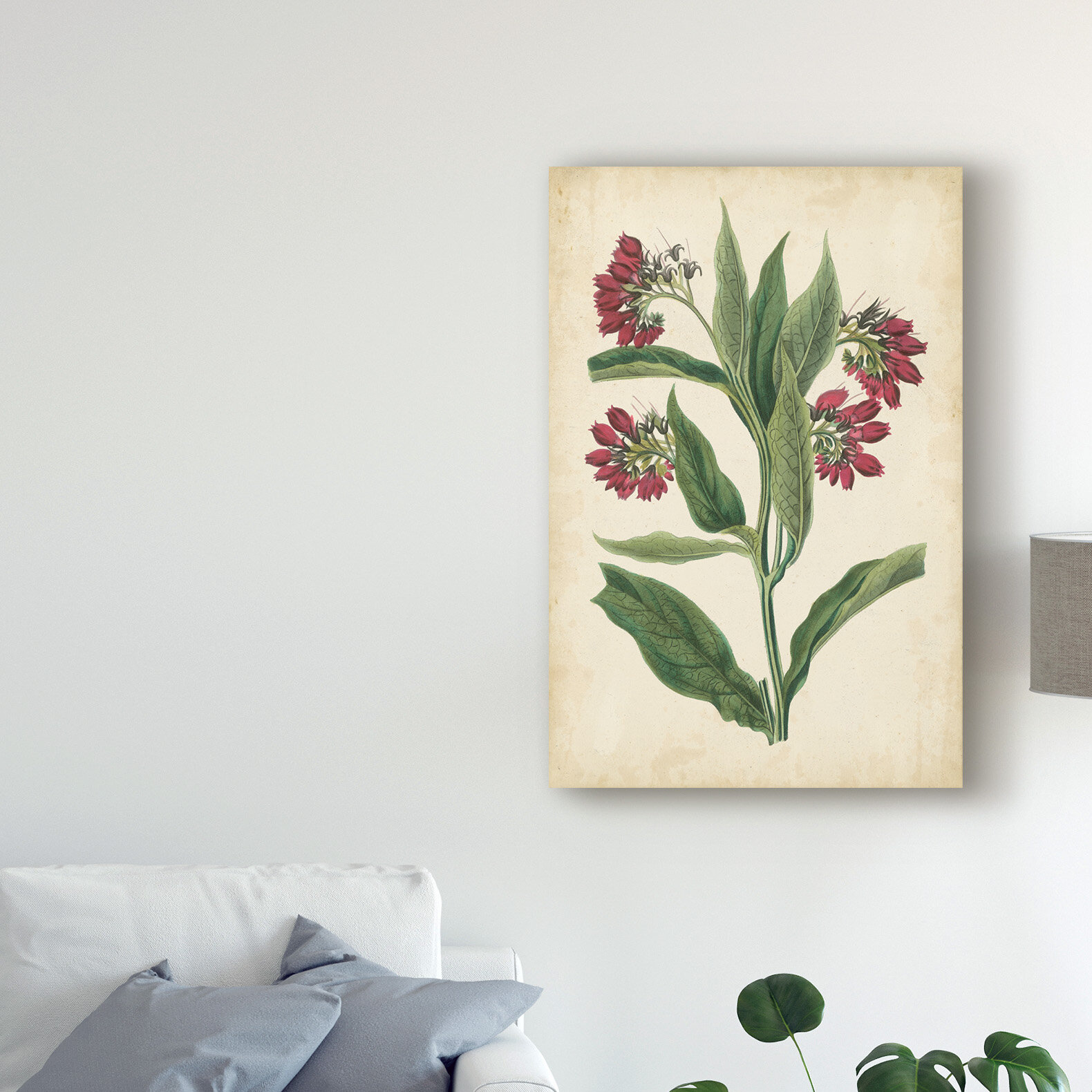 Trademark Fine Art Midnight Botanical I by Vision Studio Framed