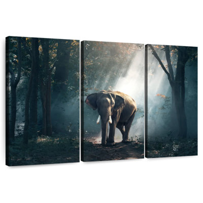 Sunlit Jungle Elephant