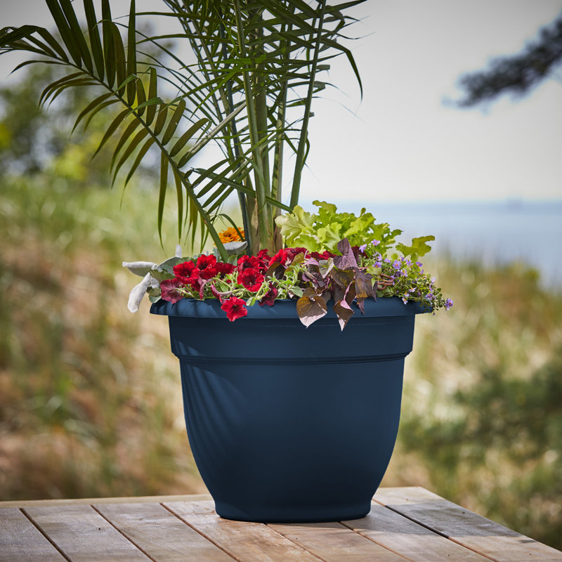 Pot à fleurs intérieur / extérieur Traditional, H 15 po x l 18 po x P 18 po, Bleu