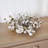 Plum Blossom Candelabrum Arrangement in Vase
