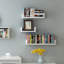 Lamberti 3 Piece Solid Wood Floating Shelf-38837740-126483209