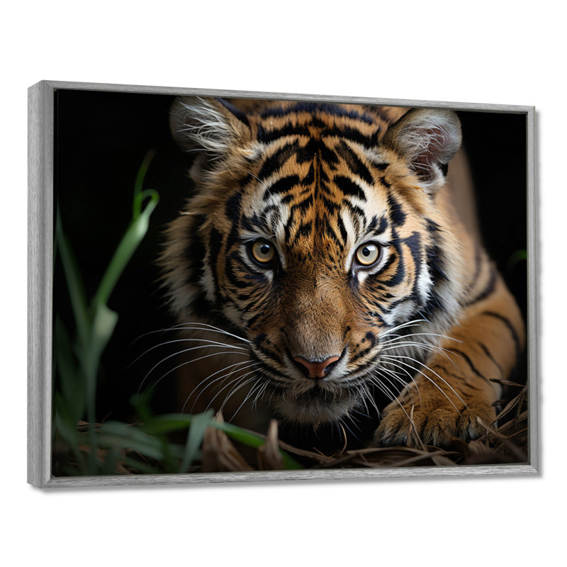 Portrait de tigre brun - art mural tigre, H 30 po x l 40 po x P 1,5 po, Encadrement argenté