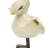 Ceramic / Porcelain Figurine / Sculpture Decorative Object