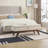 Teddy Wool Fabric, Solid Wood Feet For Solid Weighing, And Bed End Stool With Storage Function-1079349454