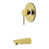 Polished Brass