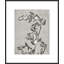 Lucent Botanicals 3 Print by Darrell Kincer-1106901373
