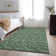 Premium Machine Washable Cerrito AMF514 Green Rug