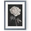 «Black and White Flowers I» par Paul Cezanne - reproduction d'art encadrée-798796464-798796466