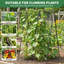 Ensemble de 2 treillis de concombre pliable à structure en A, support de plantes d'extérieur en acier enduit de PVC antirouille pour lits surélevés, haricots, tomates, plantes grimpantes-133408917-133408918