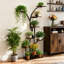 Plant Stand