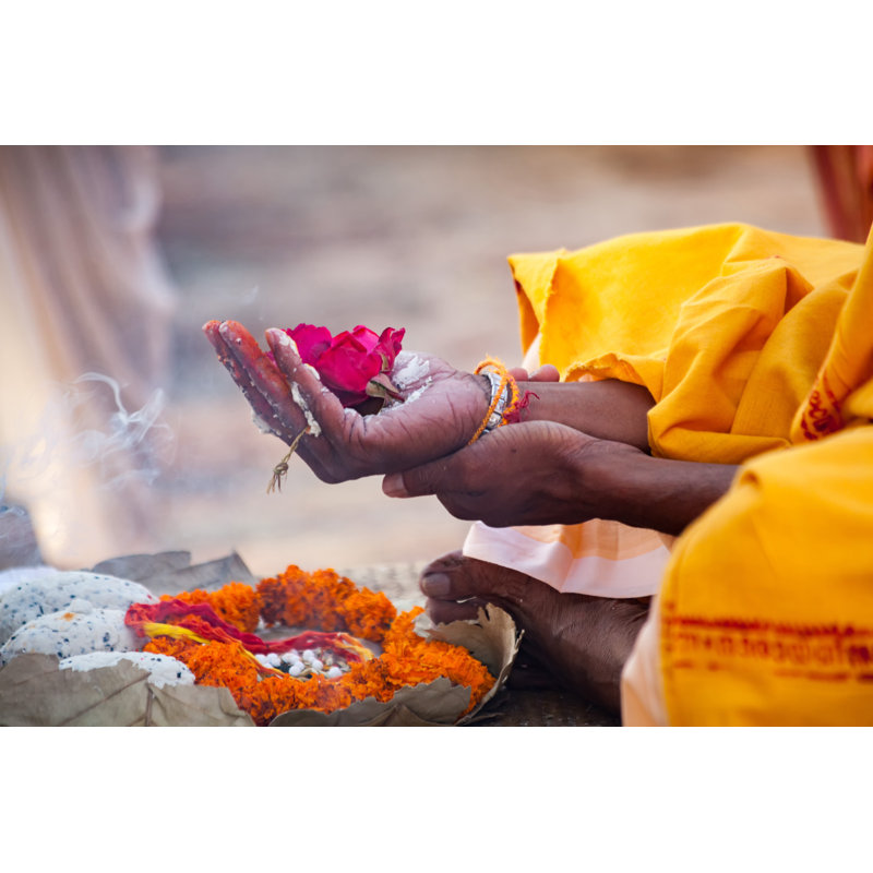 Sacred Flowers - Wrapped Canvas Print, 61cm H x 91cm W x 3.8cm D