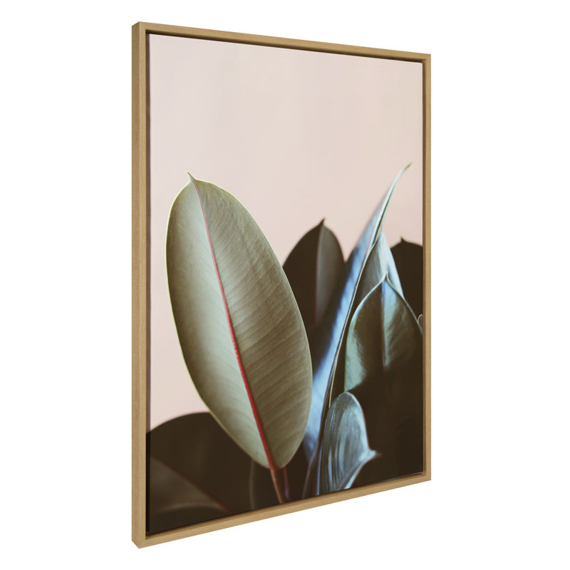 "Ficus Elastica" par Alicia Bock, reproduction d'art sur toile encadrée