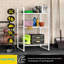 Neshanta 17.8'' W Metal Shelving Unit-1746042603