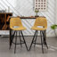 Ensemble de 2 tabourets de hauteur comptoir 28,25 po Porth-1802507328