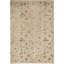 Floral Area Rug in Ivory