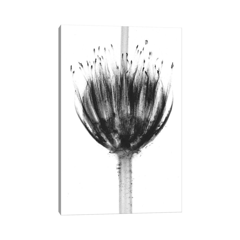 Botanical Crown by Albert Koetsier - Gallery-Wrapped Canvas Giclée on Canvas, Wrapped Canvas