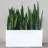 Cogburn Belmont Rectangle Planter Box-1129992192-1115919428