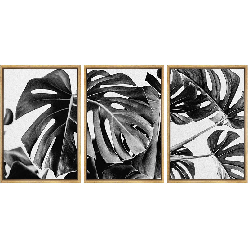 Ensemble de 3 impressions sur toile à cadre flottant, H 36 po x l 72 po x P 1,5 po, Naturel