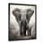 Black Single Picture Framed