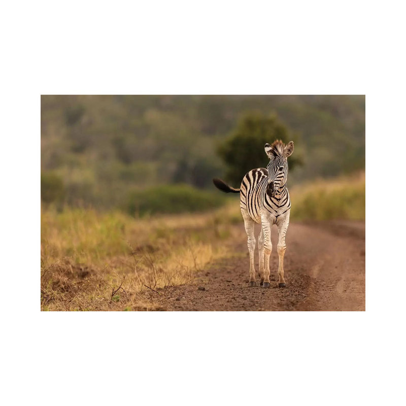 Alone In The Wild 1 Piece Wrapped Canvas Wall Art, 20.32 cm H x 30.48cm W