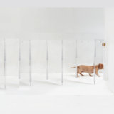 Clear Zig Zag Pet Gate Wall Mounted Pet Gate with Gold Latch