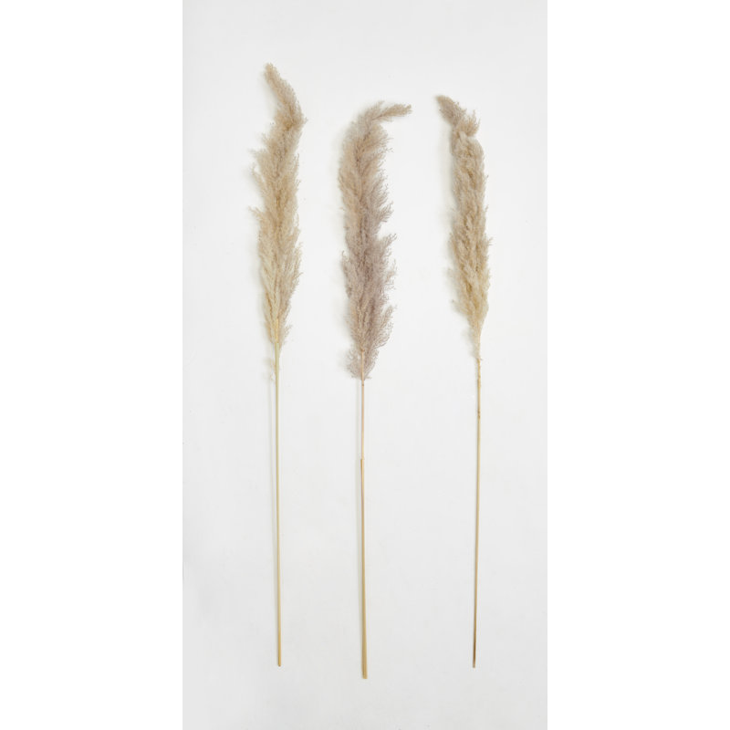 Pampas Grass Arrangement