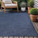 Blue Indoor/Outdoor Rug