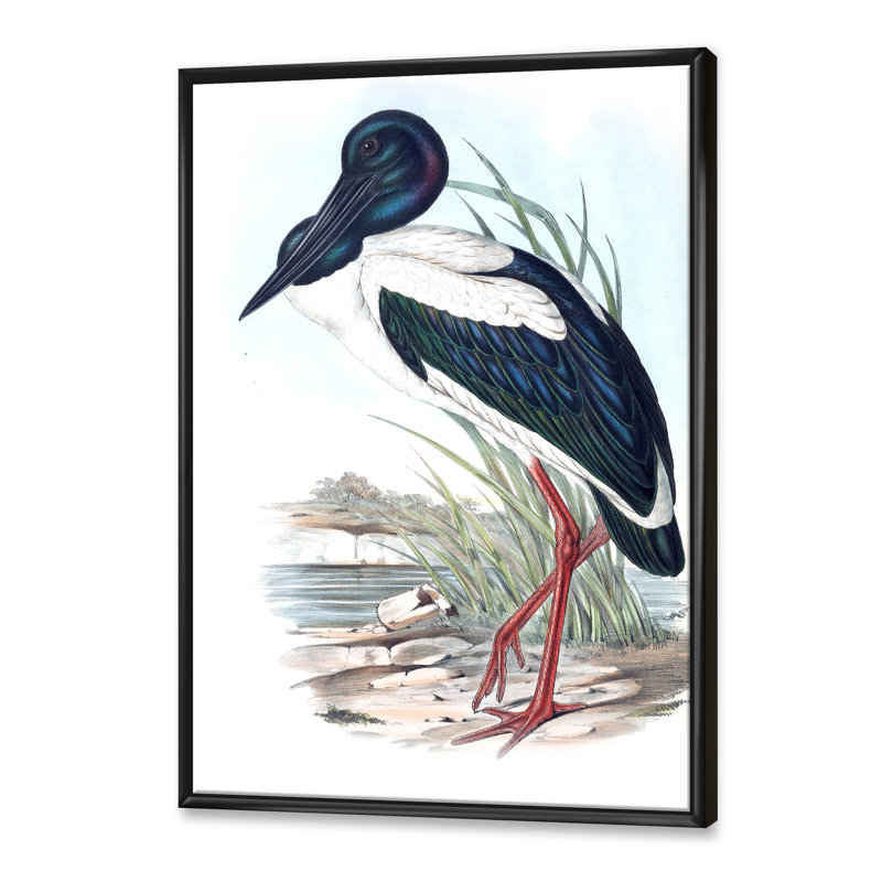 Oiseaux australiens rétro I - Impression sur toile, Cadre noir, H 32 po x l 16 po x P 1 po