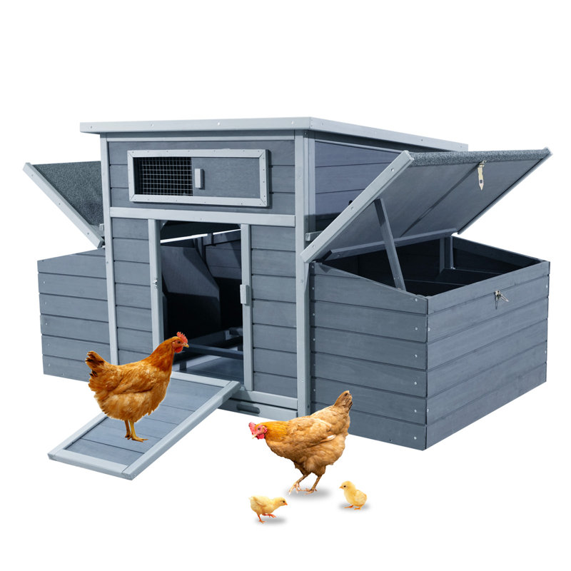 Grand poulailler en bois Pavo Farmhouse