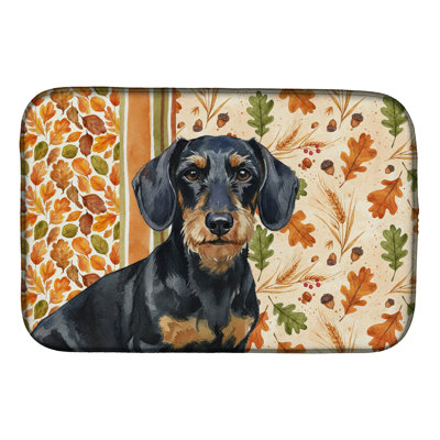 Tapis de séchage d'automne à poil dur noir et brun teckel