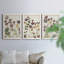 Pressed Flower Arrangement IV - Ensemble de 3 peintures sur toile encadrées-990433039-990433036