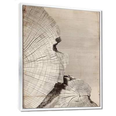 «Celestial Balance On Wood Slide», reproduction d'art sur toile, art naturel gris