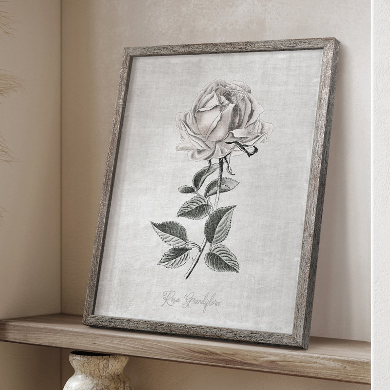 «Vintage Botanical II», reproduction encadrée - bois massif 47084, H 15 po x l 12 po