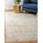 Ansonville Oriental Indoor Rug-22831854