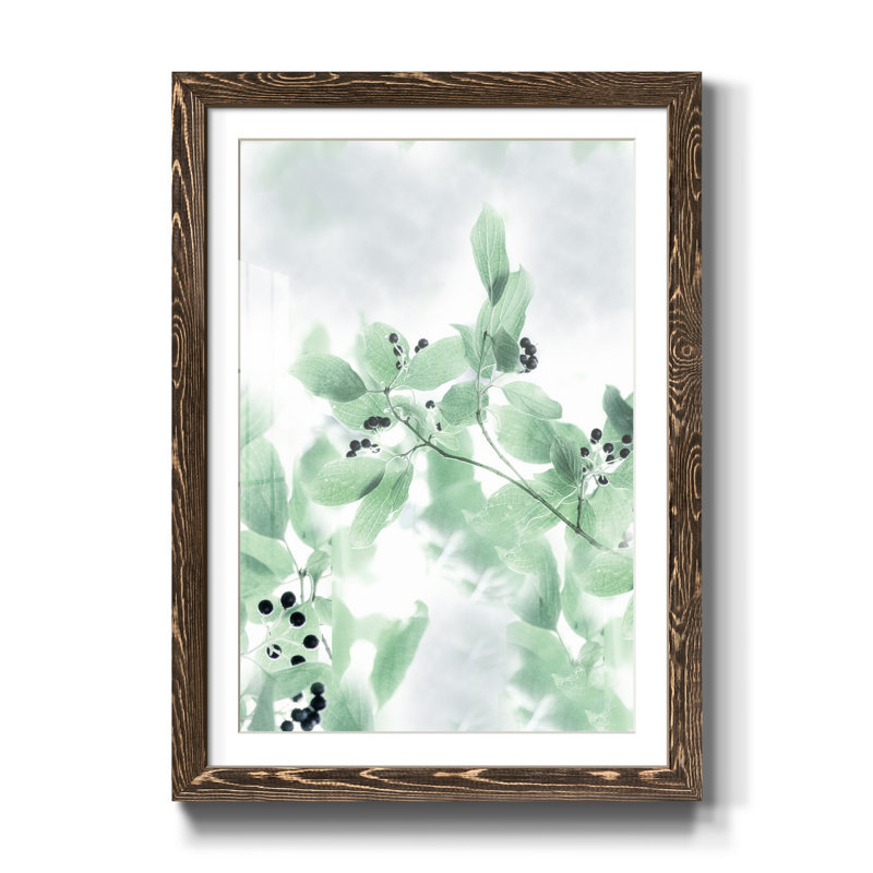 Berry Bright II - Reproduction d'art graphique sur papier encadré, Noyer, H 31,5 po x l 23,5 po x P 1,5 po