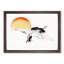 Bird Flying During Sunset by Kono Bairei - Framed Print-55466102-55466103