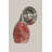Wall Sconce With 5" Fusion Glass-32465043-32465040