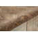 Oriental Indoor Rug