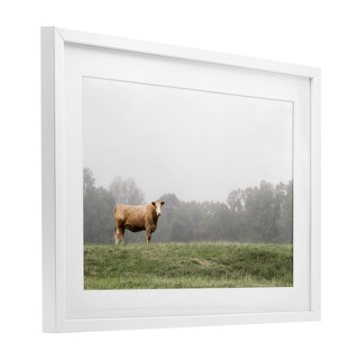 Highland Grace Cattle Framed Print Under Glass, design by J:L Design